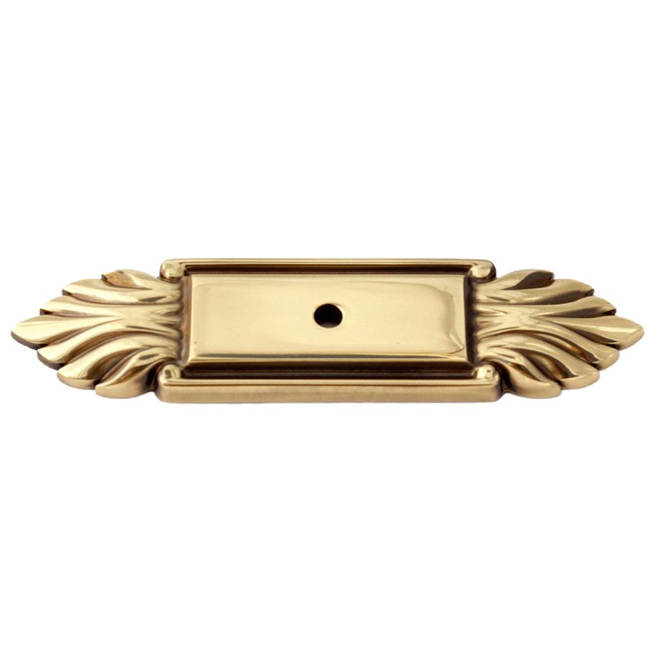 Solid Brass 4" Backplate in Polished Antique